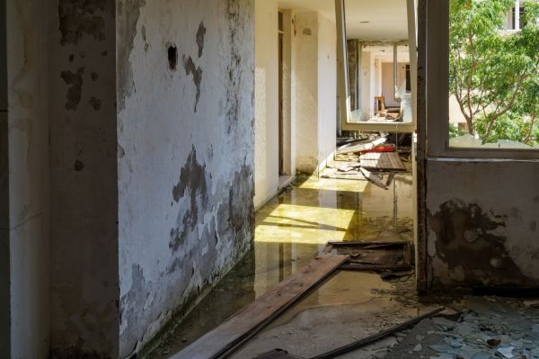 Water Removal Service in Frankfort