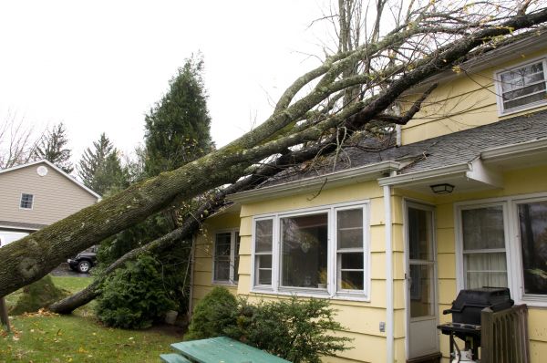 Hurricane Damage Repair in Frankfort